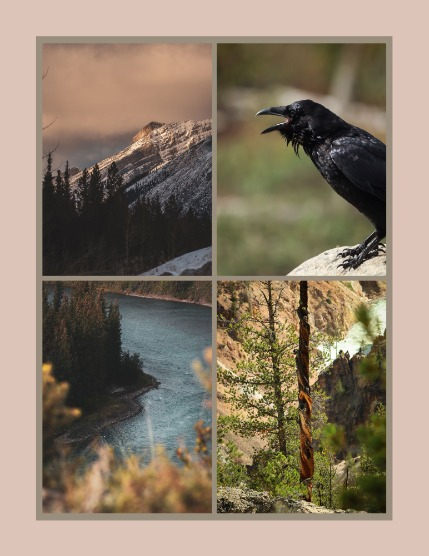 Bold & Beyond Nature (Issue 564 October 2025), page 3