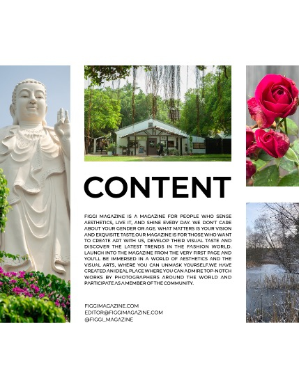 FIGGI MAGAZINE - NATURE & TRAVEL JANUARY (Vol 1339), page 3