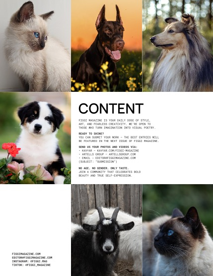 FIGGI MAGAZINE - LOVELY PETS OCTOBER (Vol 2309), page 2