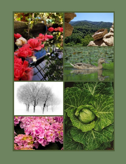 Bold & Beyond Nature (Issue 199 April 2025), page 3