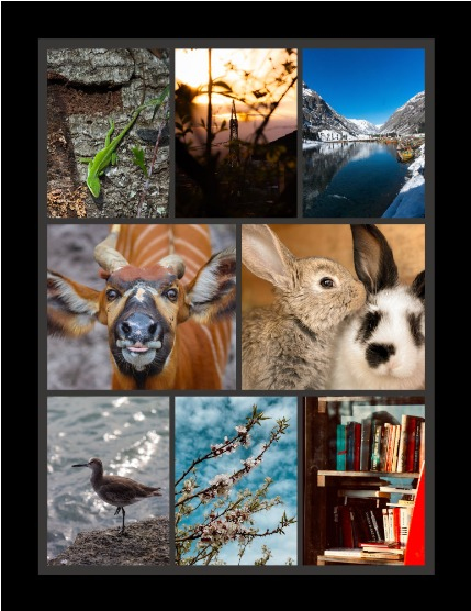 Bold & Beyond Nature (Issue 308 May 2025), page 3
