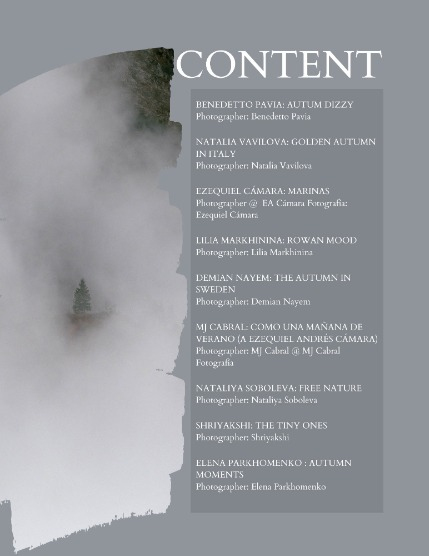 Bold & Beyond Nature (Issue 629 November 2025), page 2