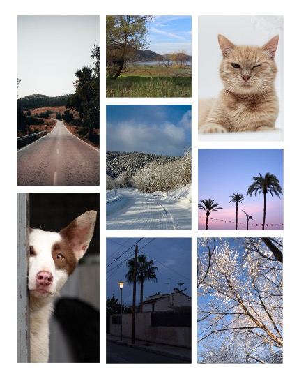 ARTEGO MAGAZINE - NATURE & TRAVELS FEBRUARY ISSUE 689, page 3