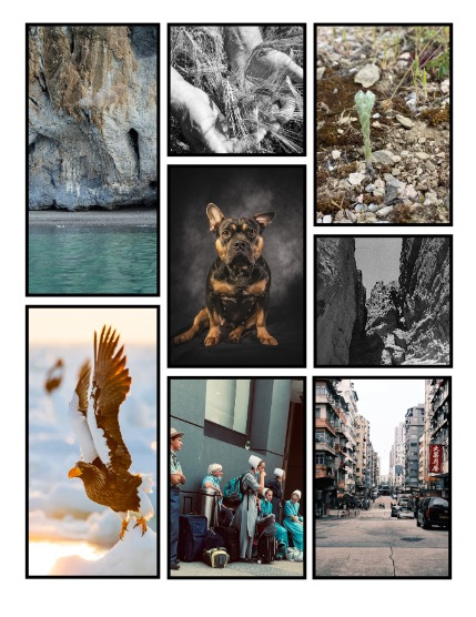 ARTEGO MAGAZINE - NATURE & TRAVELS SEPTEMBER ISSUE 1484, page 3