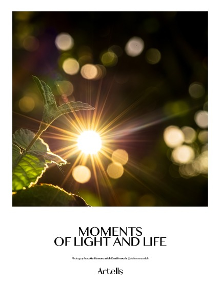 ARTELLS MAGAZINE - NATURE & TRAVELS OCTOBER (Vol 3620), page 4