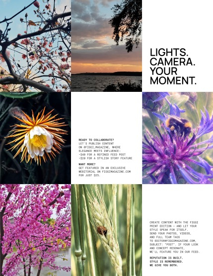 FIGGI MAGAZINE - NATURE & TRAVEL AUGUST (Vol 2248), page 3