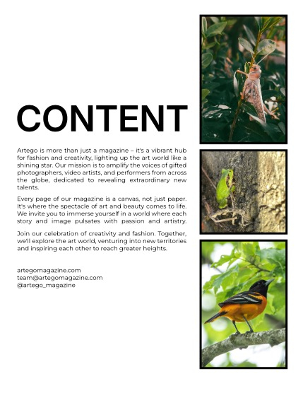ARTEGO MAGAZINE - NATURE & TRAVELS JULY ISSUE 927, page 2