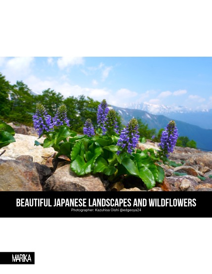 MARIKA MAGAZINE NATURE & TRAVELS (ISSUE 5951 - OCTOBER), page 4