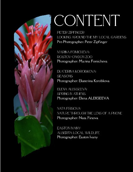 Bold & Beyond Nature (Issue 263 May 2025), page 2