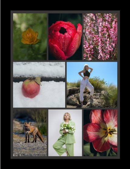Bold & Beyond Nature (Issue 266 May 2025), page 3