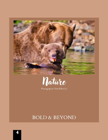 Bold & Beyond Nature (Issue 411 July 2025), page 4