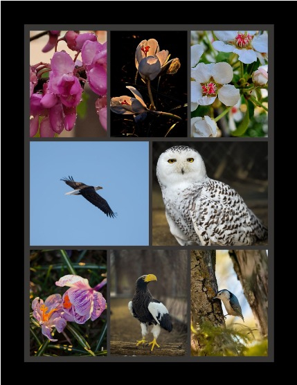 Bold & Beyond Nature (Issue 263 May 2025), page 3