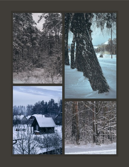 Bold & Beyond Nature (Issue 789 March 2026), page 3