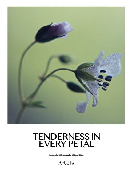 ARTELLS MAGAZINE - NATURE & TRAVELS AUGUST (Vol 4206), page 4