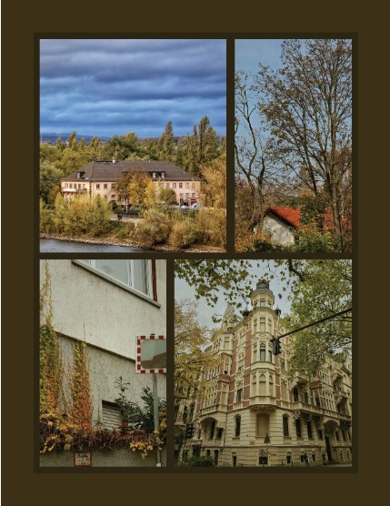 Bold & Beyond Nature (Issue 654 January 2026), page 3