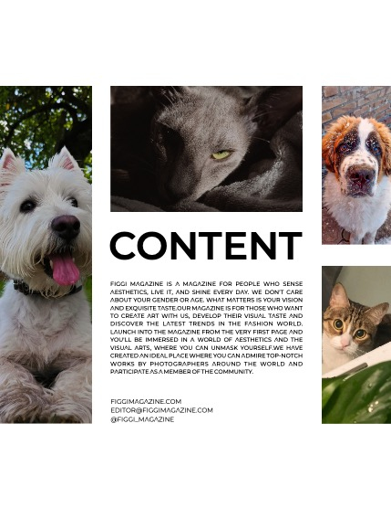 FIGGI MAGAZINE - LOVELY PETS MARCH (Vol 1446), page 3