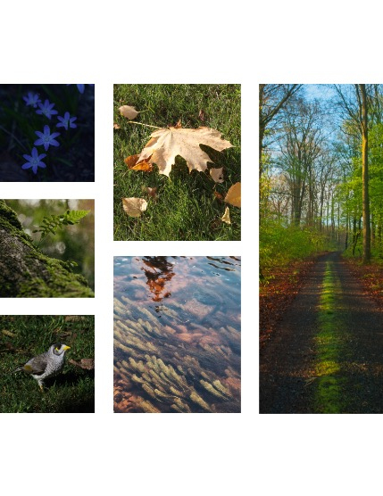 FIGGI MAGAZINE - NATURE & TRAVEL MAY (Vol 1543), page 2