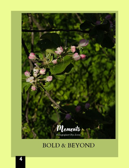 Bold & Beyond Nature (Issue 373 July 2025) , page 4