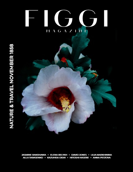 FIGGI MAGAZINE - NATURE & TRAVEL NOVEMBER (Vol 1858), page 1