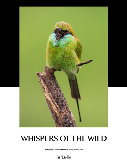 ARTELLS MAGAZINE - NATURE & TRAVELS MAY (Vol 4049), page 4