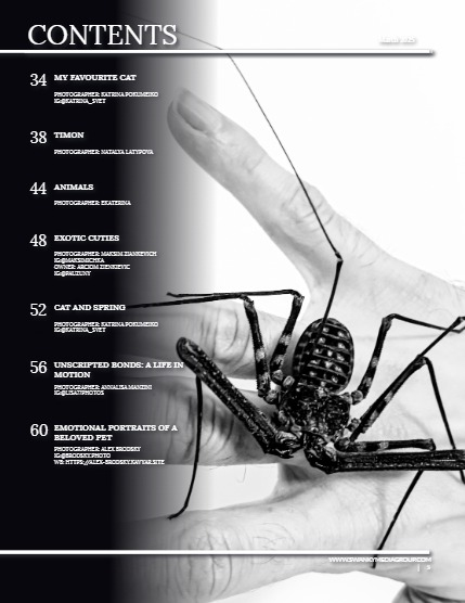 Perfect Pets March Issue 2025, page 5