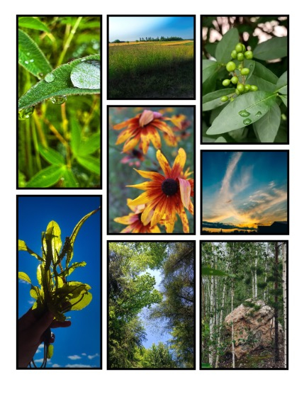 ARTEGO MAGAZINE - NATURE & TRAVELS AUGUST ISSUE 982, page 3