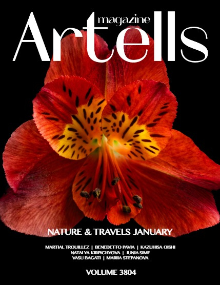 ARTELLS MAGAZINE - NATURE & TRAVELS JANUARY (Vol 3804), page 1
