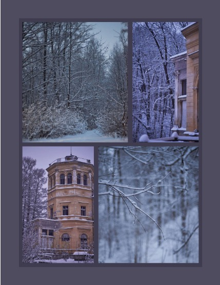 Bold & Beyond Nature (Issue 690 January 2026), page 3