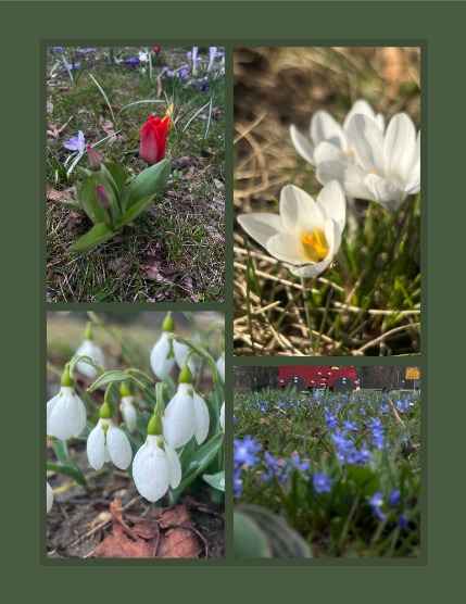 Bold & Beyond Nature (Issue 788 February 2026), page 3