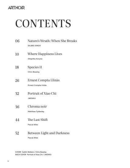 Артнуар, журнал. Октябрь 2026, выпуск 30 (ARTNOIR Issue 30, October 2026), page 4