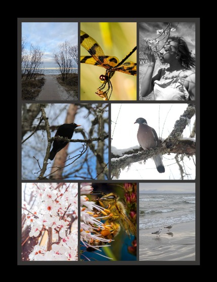 Bold & Beyond Nature (Issue 265 May 2025), page 3