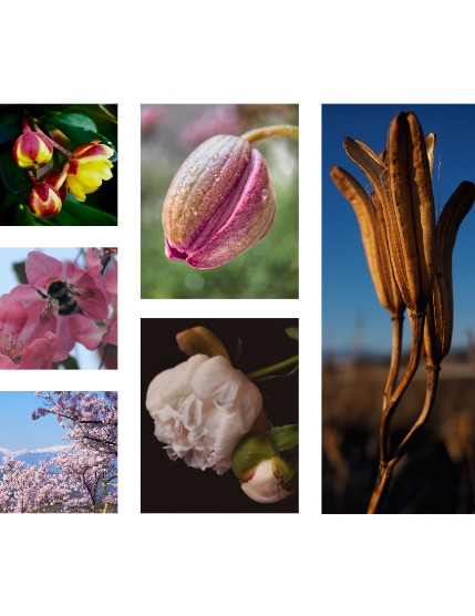 FIGGI MAGAZINE - NATURE & TRAVEL NOVEMBER (Vol 1858), page 2