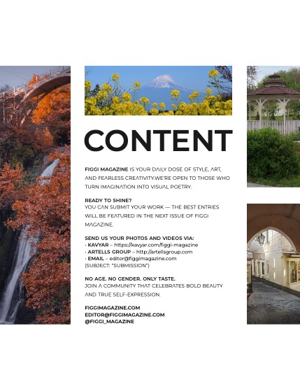 FIGGI MAGAZINE - NATURE & TRAVEL DECEMBER (Vol 1916), page 3