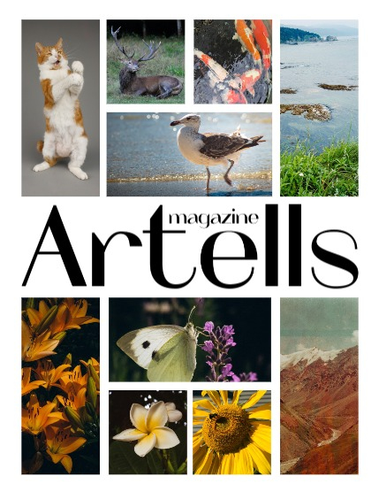 RTELLS MAGAZINE - NATURE & TRAVELS OCTOBER (Vol 4310), page 2