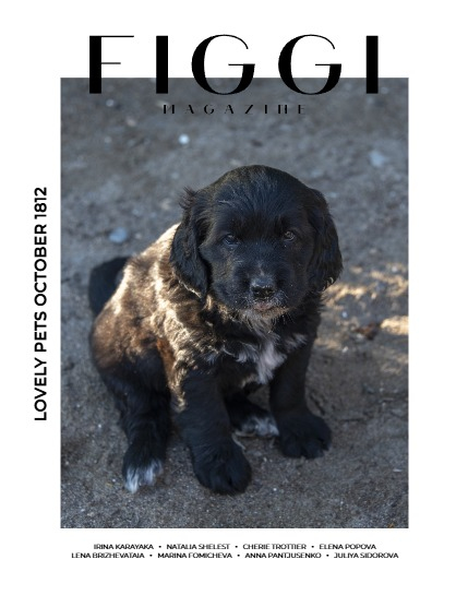 FIGGI MAGAZINE - LOVELY PETS OCTOBER (Vol 1812), page 1