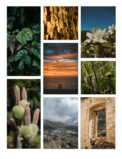 ARTEGO MAGAZINE - NATURE & TRAVELS APRIL ISSUE 792, page 3