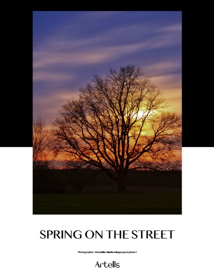 ARTELLS MAGAZINE - NATURE & TRAVELS MAY (Vol 3183), page 4