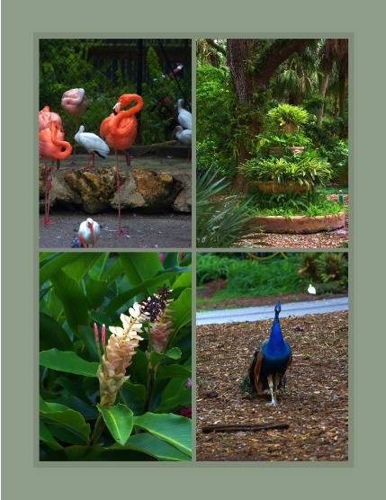 Bold & Beyond Nature (Issue 603 November 2025), page 3