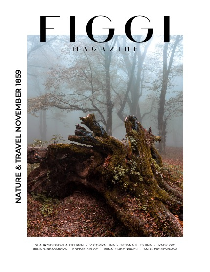 FIGGI MAGAZINE - NATURE & TRAVEL NOVEMBER (Vol 1859), page 1