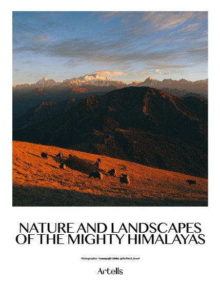 ARTELLS MAGAZINE - NATURE & TRAVELS MARCH (Vol 3037), page 4