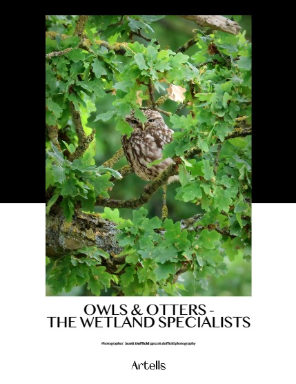 ARTELLS MAGAZINE - NATURE & TRAVELS AUGUST (Vol 3480), page 4