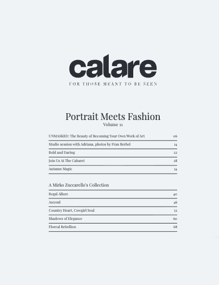 CALARE Vol 011, page 4