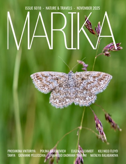 MARIKA MAGAZINE NATURE & TRAVELS (ISSUE 6018 - NOVEMBER), page 1