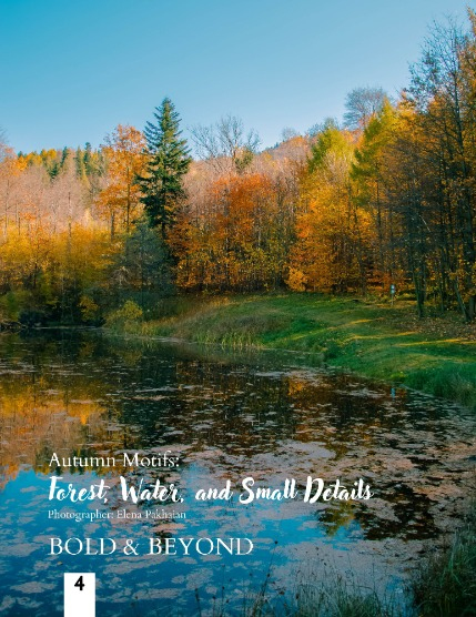 Bold & Beyond Nature (Issue 625 November 2025), page 4