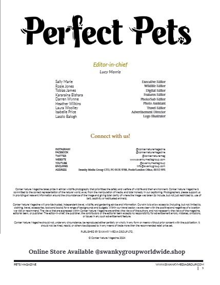 Perfect Pets Magazine - February 2025: The Pet Portrait Issue, page 3