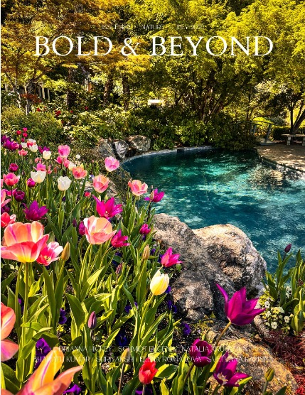 Bold & Beyond Nature (Issue 482 August 2025), page 1