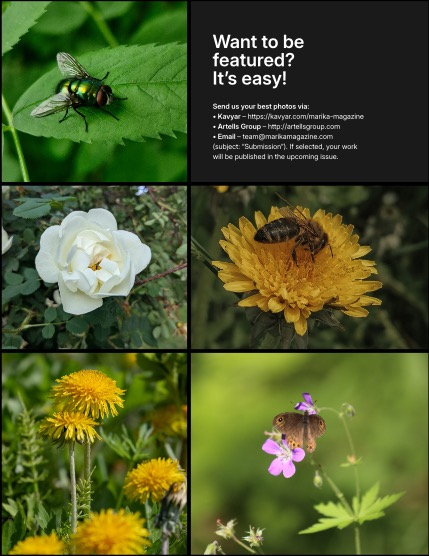 MARIKA MAGAZINE NATURE & TRAVELS (ISSUE 5799 - JULY), page 3