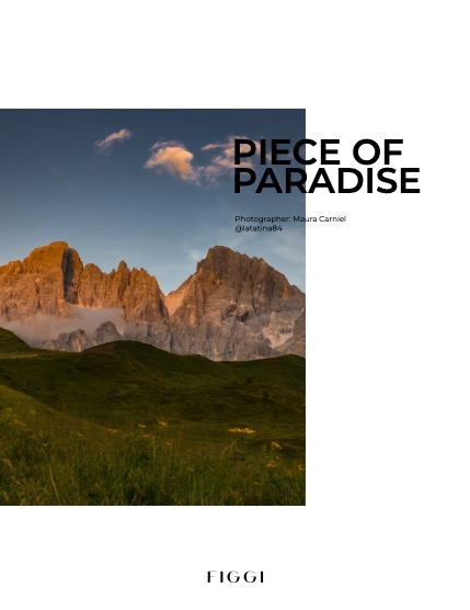 FIGGI MAGAZINE - NATURE & TRAVEL JANUARY (Vol 1339), page 4