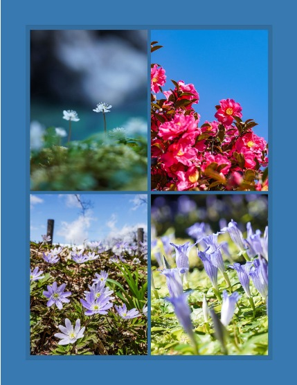 Bold & Beyond Nature (Issue 590 October 2025), page 3