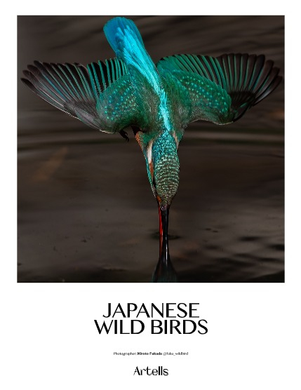 ARTELLS MAGAZINE - NATURE & TRAVELS FEBRUARY (Vol 2965), page 4